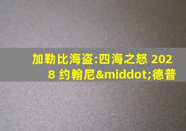 加勒比海盗:四海之怒 2028 约翰尼·德普